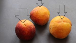 After washing the peaches well with water and vinegar, cut the skin of the peaches in the form of an X (to make it easier for you to peel later)